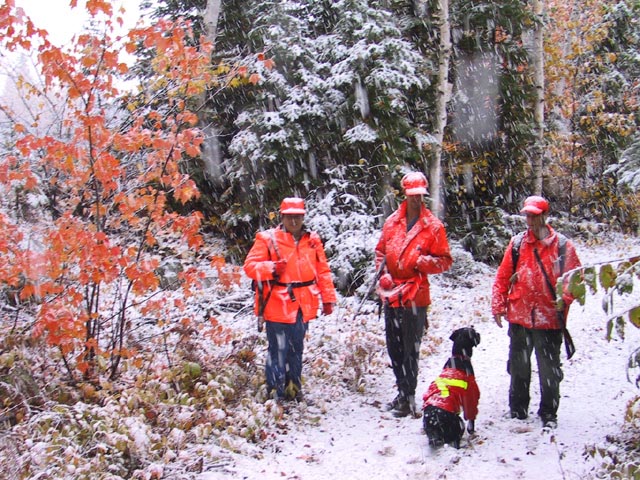 photograph, hunt, hunting, stephen roberts, craig gross, dog, snow, fall, northern ontario