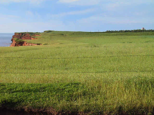 photograph, PEI, scenic