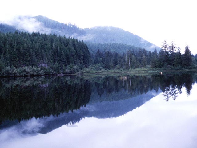 photograph, british columbia, vancouver, fairy