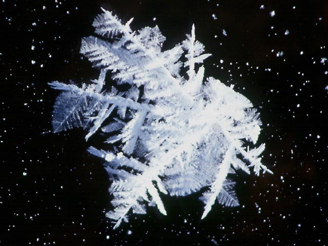 photograph, winter, ice