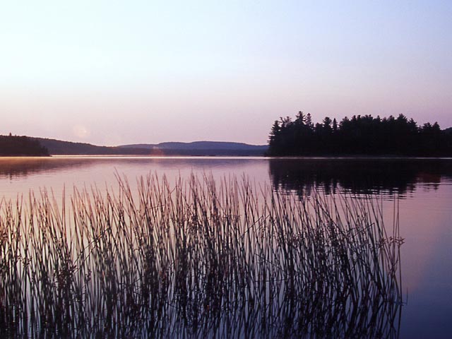 photograph, algonquin, lake of two rivers, scenic