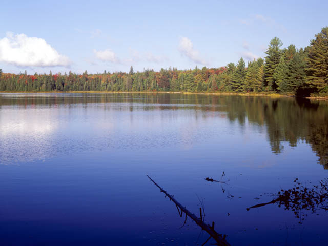 photograph, algonquin, fall