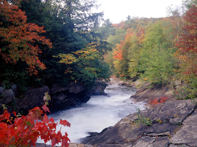 photograph, algonquin, rapids, fall