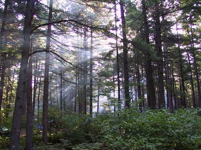 photograph, algonquin, camping, camp fire, smoke, pollution, ontario