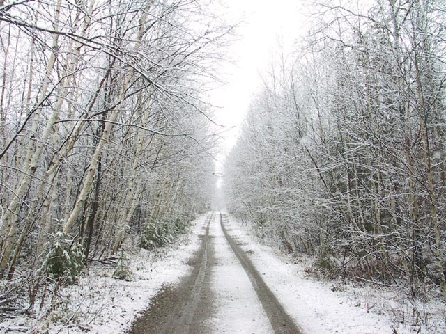 photograph, hunt, hunting, northern ontario, road, snow