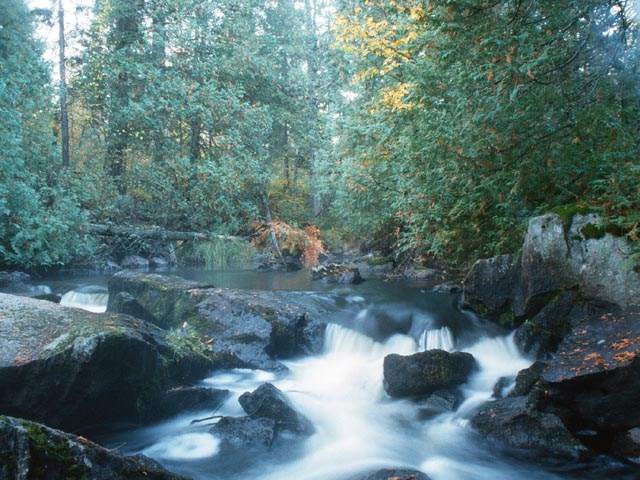 photograph, scenic, northern ontario, fall