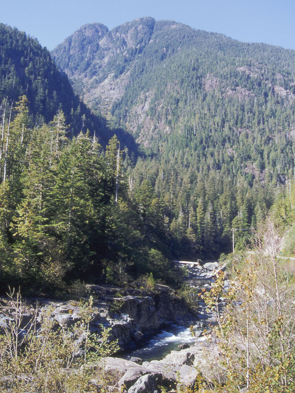 mountain and stream