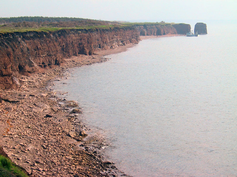 photography, PEI, vacation, canon G1, coastline, black marsh trail