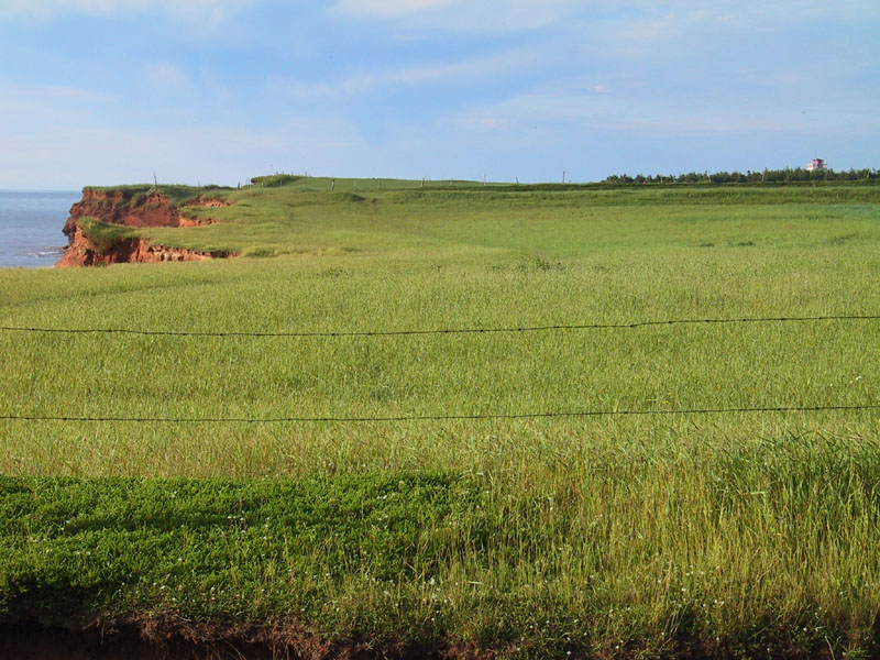 photography, PEI, vacation, canon G1, scenic