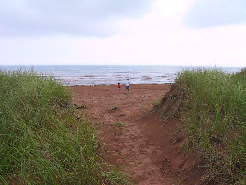 photography, PEI, vacation, canon G1, pop, henry pop