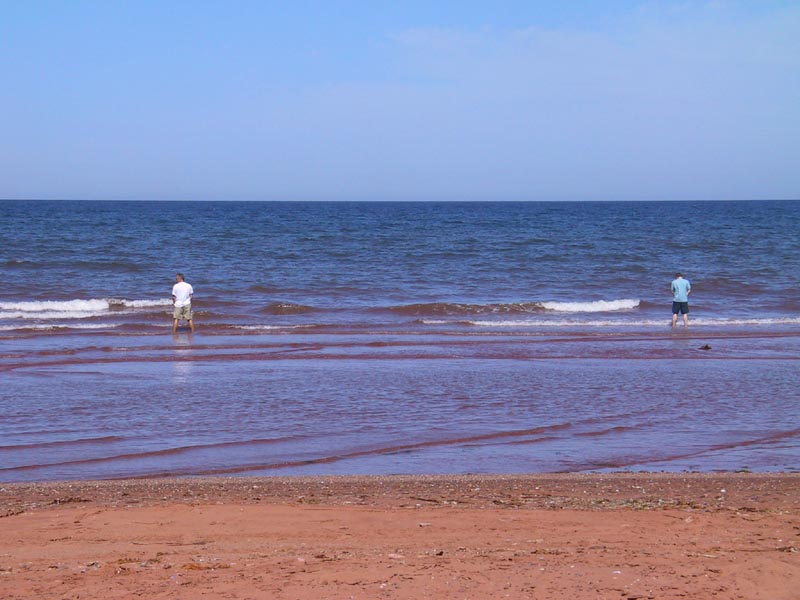 photography, PEI, vacation, canon G1, humour, urinate