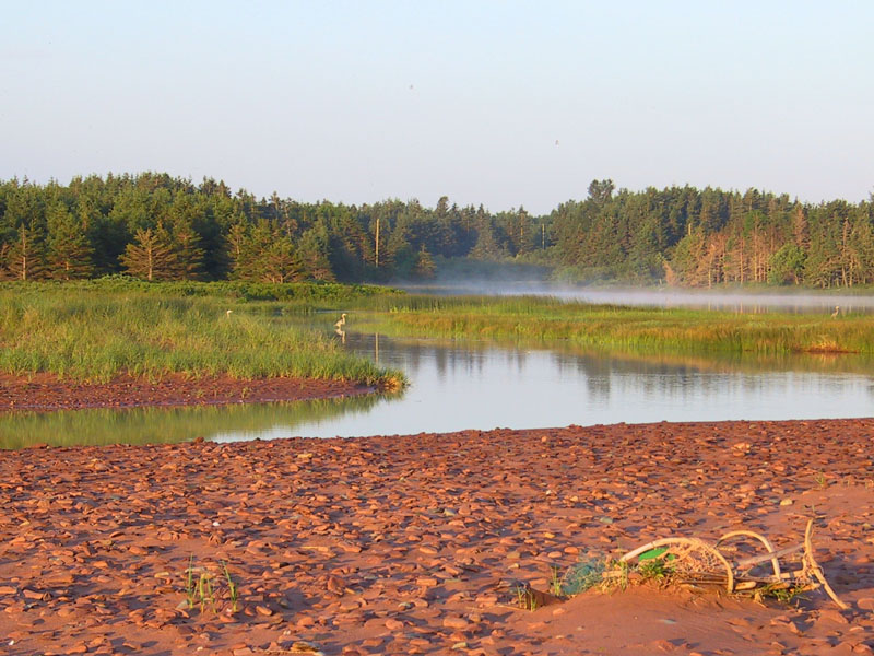 photography, PEI, vacation, canon G1, heron, marsh