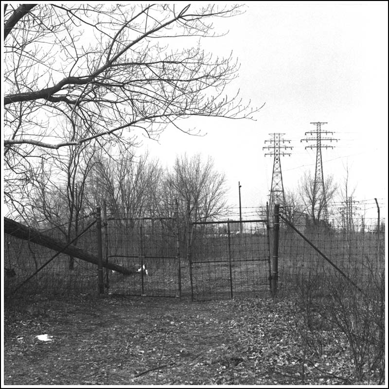 photography, medium format, B&W, leslie spit, toronto, docklands